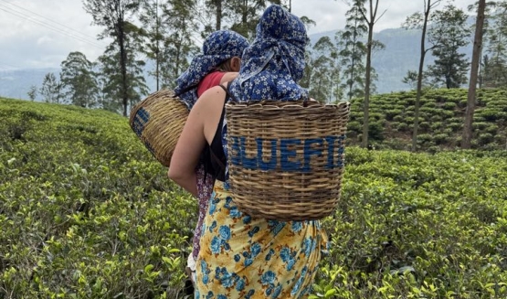 Wellnessowe podróże - Sri Lanka